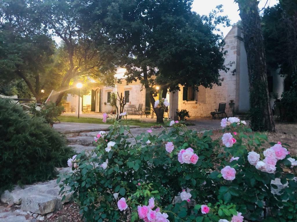 Villa Cenzina 塞尔瓦·迪·法萨诺 外观 照片